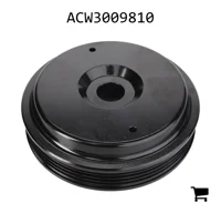 AGCO ACW3009810 Шкив водяного насоса