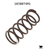 AGCO 1038074M1 Пружина
