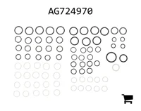 AGCO AG724970 Ремкомплект