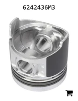 AGCO 6242436M3 Поршень