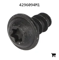 AGCO 4296094M1 Винт