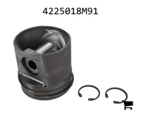 AGCO 4225018M91 Поршень