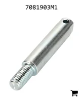 AGCO 7081903M1 Палец