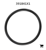 AGCO 391841X1 Уплотнительное кольцо