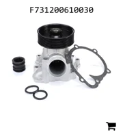 AGCO F731200610030 Водяной насос