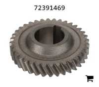 AGCO 72391469 Цилиндрическая шестерня