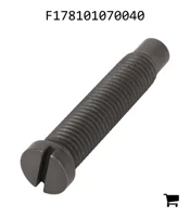 AGCO F178101070040 Регулировочный винт