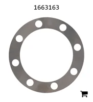 AGCO 1663163 Шайба