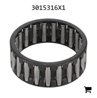AGCO 3015316X1 Игольчатый подшипник