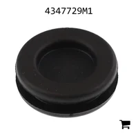 AGCO 4347729M1 Заглушка