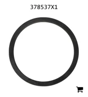 AGCO 378537X1 Опорное кольцо