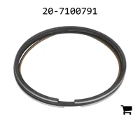 AGCO 20-7100791 Кольцо
