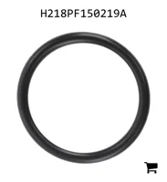 AGCO H218PF150219A Уплотнительная шайба