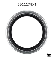 AGCO 3011178X1 Сальник
