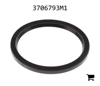 AGCO 3706793M1 Масляный сальник