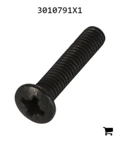AGCO 3010791X1 Винт метрический
