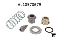 AGCO AL10570079 Катушка