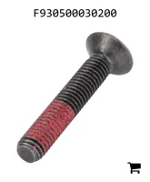 AGCO F930500030200 Винт с потайной головкой