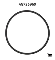 AGCO AG726969 Уплотнительное кольцо