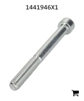 AGCO 1441946X1 Винт с цилиндрической головкой и шестигранным углублением