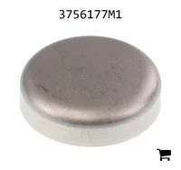 AGCO 3756177M1 Заглушка