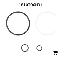 AGCO 1810706M91 Комплект уплотнений