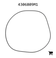 AGCO 4306809M1 Уплотнение бортовой передачи