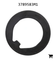 AGCO 3789583M1 Шайба