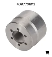 AGCO 4307798M1 Цилиндр