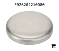 AGCO F926202210080 Крышка