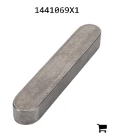 AGCO 1441069X1 Параллельный шпоночный паз