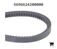 AGCO X696624200000 Ремень клиновой