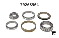 AGCO 70268904 Комплект подшипников