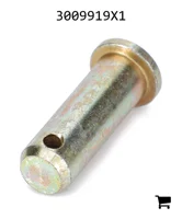 AGCO 3009919X1 Палец вилки