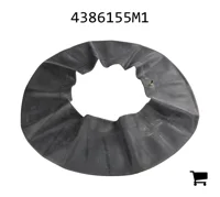 AGCO 4386155M1 Камера