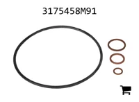 AGCO 3175458M91 Ремкомплект