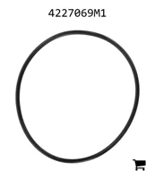 AGCO 4227069M1 Уплотнительное кольцо