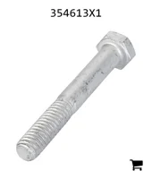 AGCO 354613X1 Болт