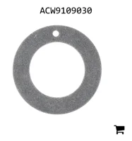 AGCO ACW9109030 Шайба