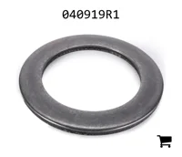 AGCO 040919R1 Шайба