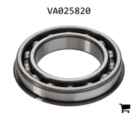 AGCO VA025820 Подшипниковый узел