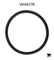 AGCO VKH4270 Уплотнительное кольцо