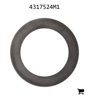 AGCO 4317524M1 Шайба