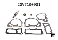 AGCO 20V7100981 Ремкомплект