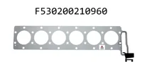 AGCO F530200210960 Прокладка