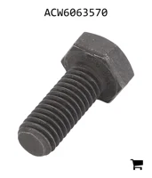 AGCO ACW6063570 Болт с шестигранной головкой