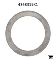 AGCO 4368319X1 Регулировочная шайба