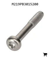 AGCO M219PB3015200 Винт с головкой Torx