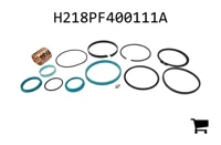 AGCO H218PF400111A Комплект уплотнений
