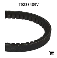 AGCO 70233489V Ремень